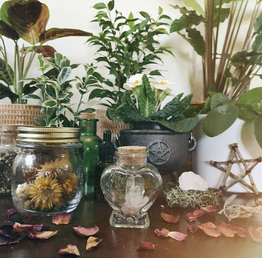 Green Witch Altar with Plants and Herbs
