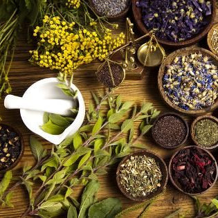 10 Common Household Herbs and Their Uses in Magic