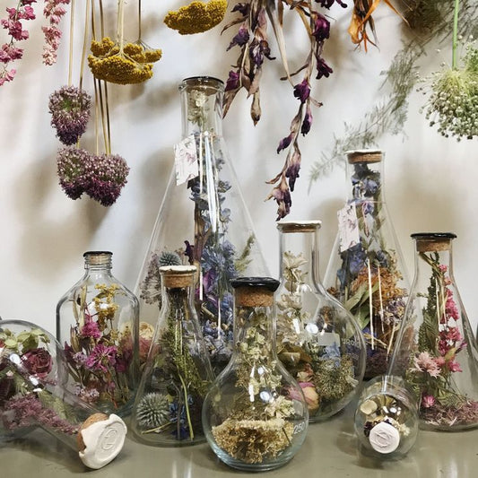 Bottles of Dried Flowers and Herbs